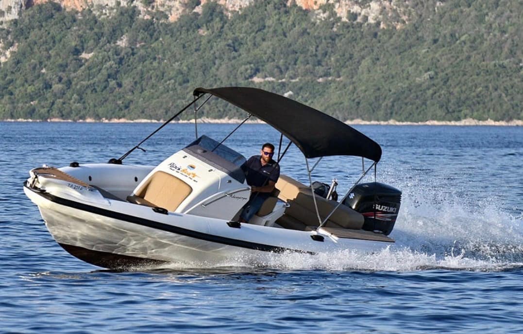 Cruise With Viper Boat 8.6 image 1